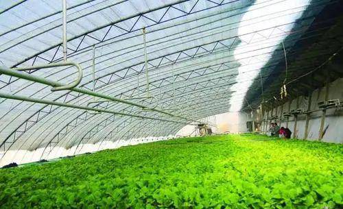 宁夏认定一批标准化生产基地，西吉2个有机农产品基地上榜！