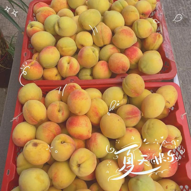 "爷爷的果园"天然有机食品,#我为家乡农产品代言 口感清脆爽
